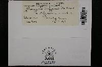 Uromyces polygoni-avicularis image