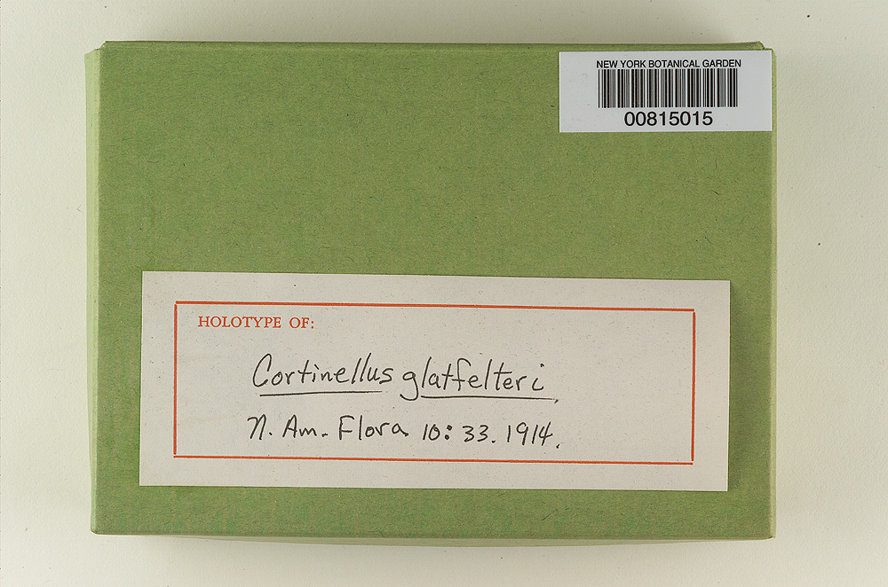 Cortinellus glatfelteri image