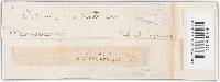 Trichaptum abietinum image