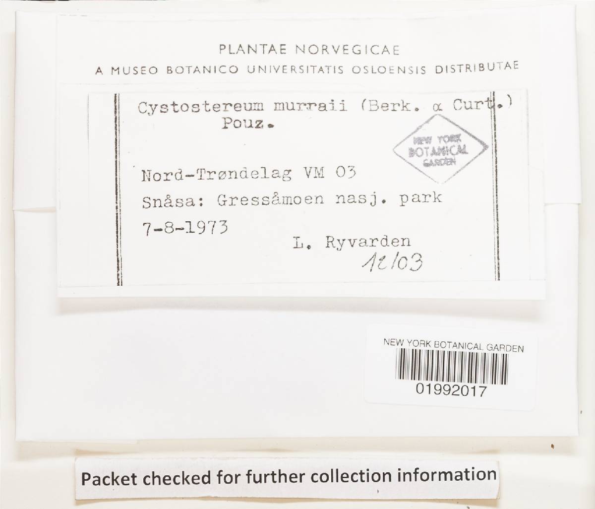 Cystostereum murrayi image