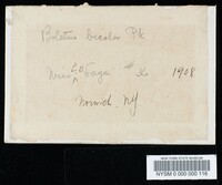 Boletochaete bicolor image