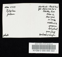 Tylopilus felleus image
