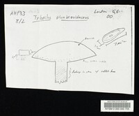 Tylopilus plumbeoviolaceus image