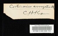 Cortinarius ophiopus image