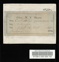 Cortinarius pulchrifolius image