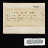 Cortinarius uliginosus image