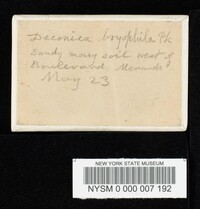 Deconica bryophila image