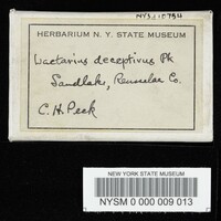 Lactarius deceptivus image