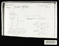 Marasmius cystidiosus image