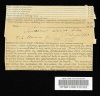 Marasmius siccus image