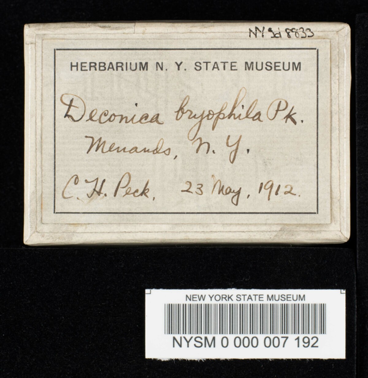 Deconica bryophila image