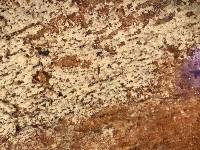 Tubulicrinis accedens image