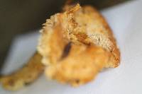 Hydnum mulsicolor image