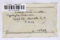 Hypoxylon fragiforme image