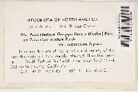 Pucciniastrum goeppertianum image