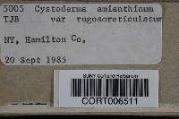 Cystoderma amianthinum image