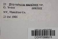 Hygrophorus marginatus var. concolor image