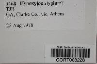 Image of Hypoxylon stygium