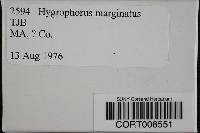Hygrophorus marginatus var. marginatus image