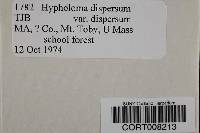 Hypholoma dispersum var. dispersum image