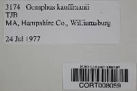 Gomphus kauffmanii image