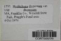 Hypholoma dispersum image