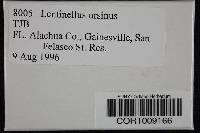 Lentinellus ursinus image