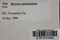 Mycena atkinsoniana image