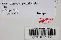 Sarcodon portoricensis image