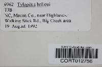 Tylopilus balloui image