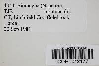 Simocybe centunculus var. centunculus image
