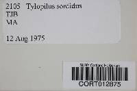 Tylopilus sordidus image