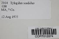 Tylopilus sordidus image