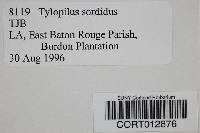 Tylopilus sordidus image