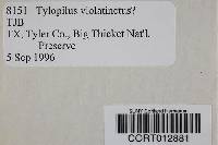 Tylopilus violatinctus image