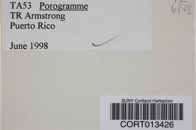 Porogramme image