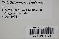 Zelleromyces cinnabarinus image
