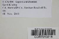 Leptonia trichomata image