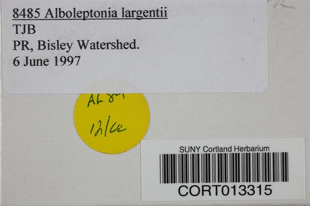Alboleptonia largentii image