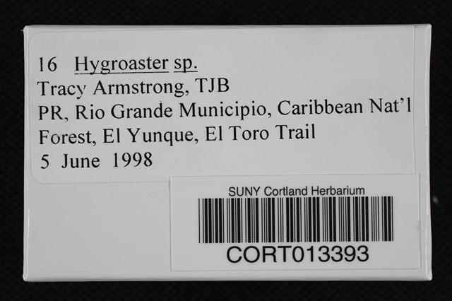 Hygroaster image
