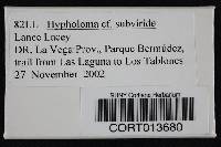 Hypholoma subviride image