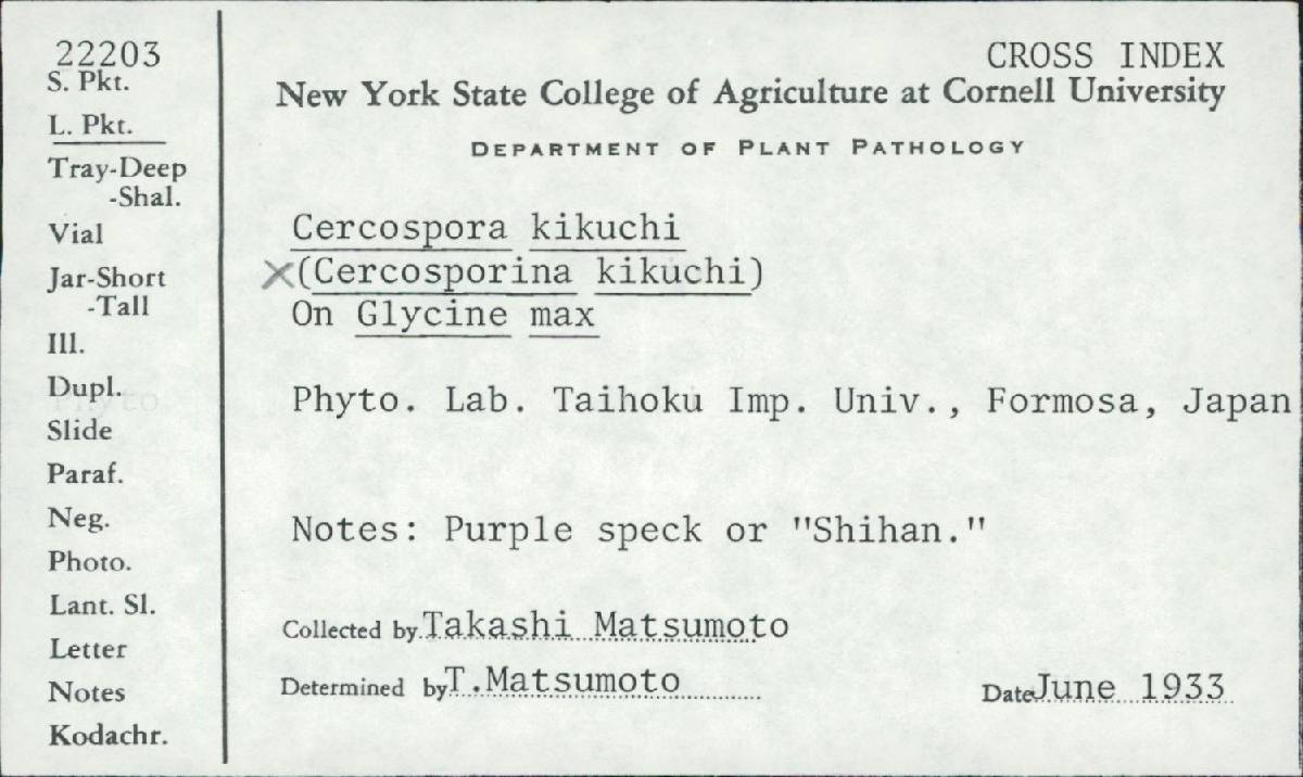 Cercospora kikuchii image