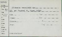 Gibbera vaccinii image
