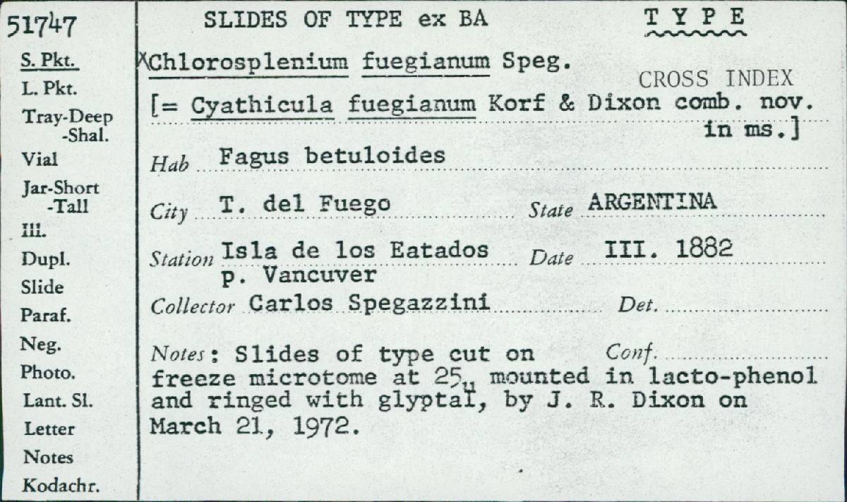 Poculum fuegianum image