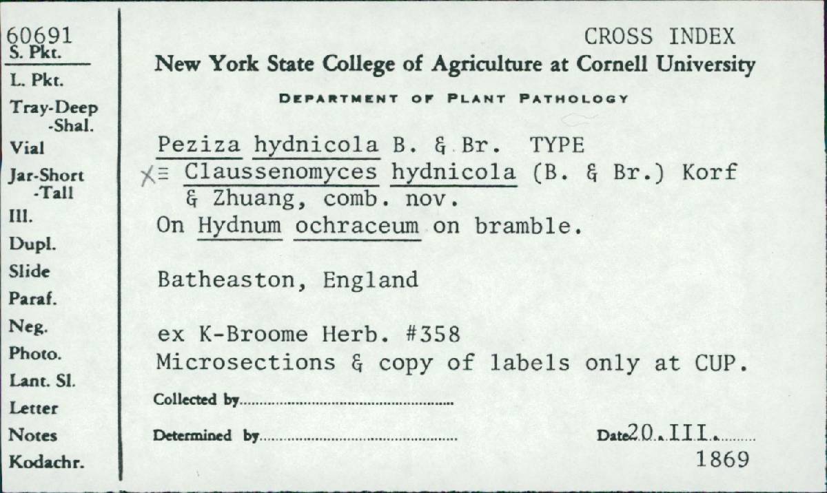 Claussenomyces atrovirens image