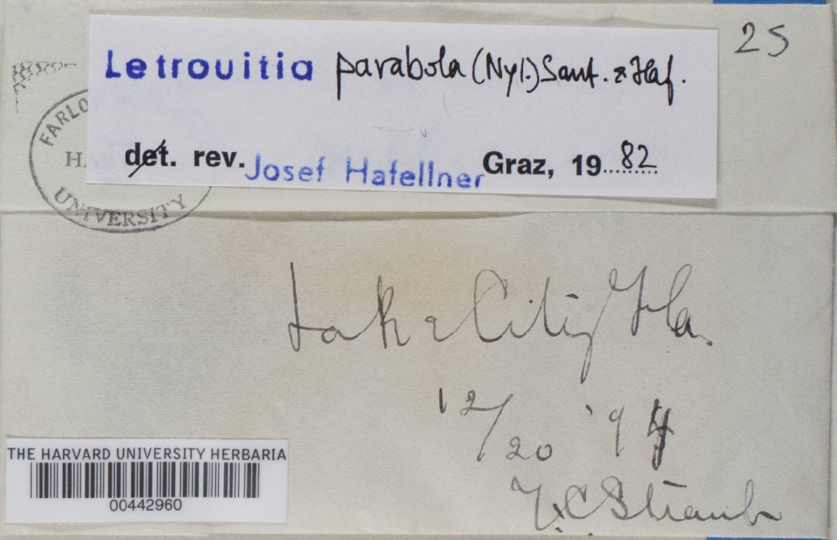 Letrouitia parabola image