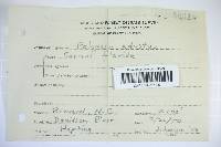 Bjerkandera adusta image