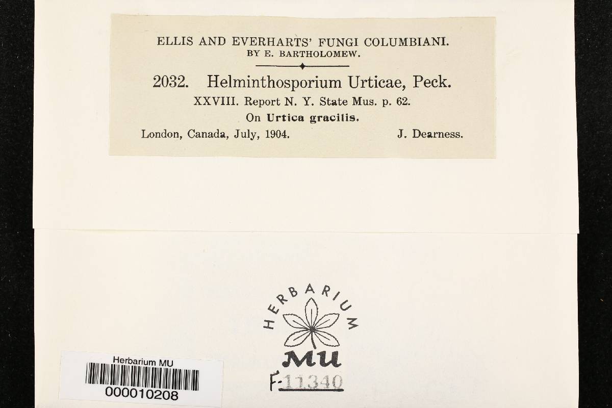 Helminthosporium urticae image