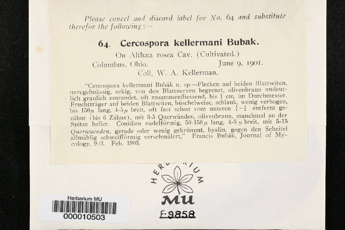 Cercospora kellermani image