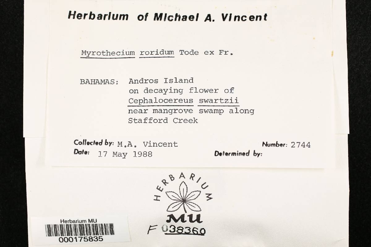 Myrothecium image